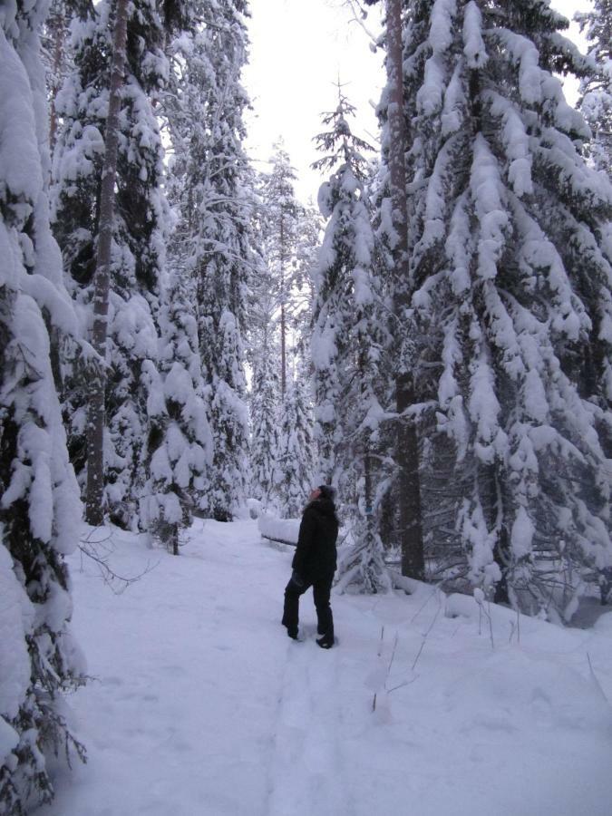 Menninkaeinen Cottage Rutalahti Bagian luar foto
